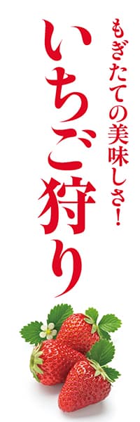 いちご狩り_商品画像_1