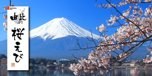 中部特産物 のぼり デザイン一覧