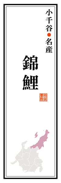 【ANG115】小千谷名産 錦鯉【新潟編】