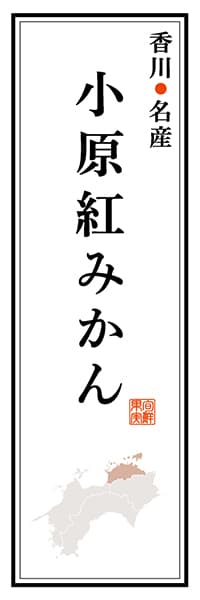 【BKG111】香川名産 小原紅みかん【香川編】