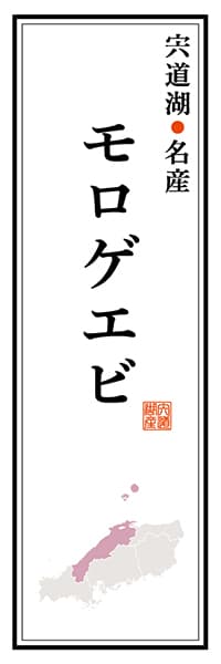 【BSN111】宍道湖名産 モロゲエビ【島根編】