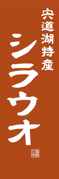 【BSN408】宍道湖特産 シラウオ【島根編・レトロ調】