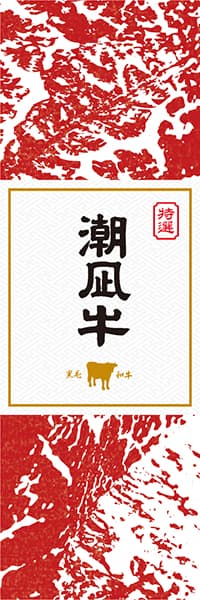 【BSN901】潮凪牛【島根・黒毛和牛】