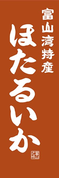 【BTY408】富山湾特産 ほたるいか【富山編・レトロ調】