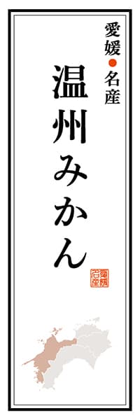 【CEH110】愛媛名産 温州みかん【愛媛編】