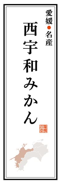 【CEH111】愛媛名産 西宇和みかん【愛媛編】