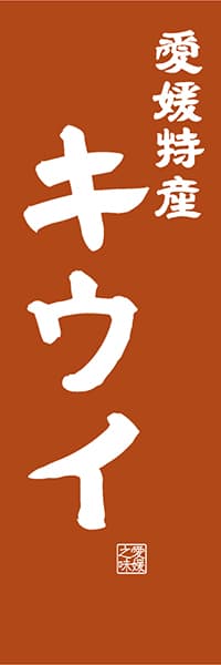 【CEH415】愛媛特産 キウイ【愛媛編・レトロ調】