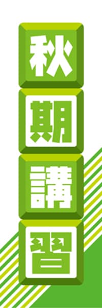 【EDU032】秋期講習【ブロック・黄緑】