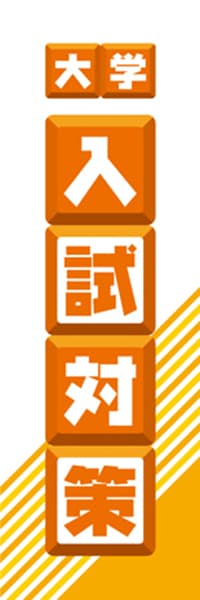 【EDU091】大学入試対策【ブロック・橙】