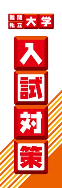 【EDU093】難関私立大学入試対策【ブロック・赤】