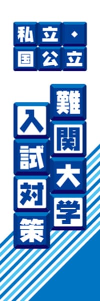 【EDU098】私立・国公立難関大学入試対策【ブロック・青】