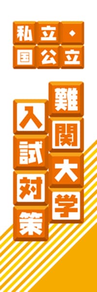 【EDU099】私立・国公立難関大学入試対策【ブロック・橙】