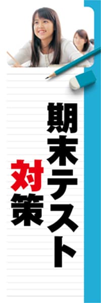 【EDU236】期末テスト対策【ノート・青】