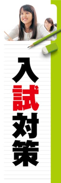 【EDU244】入試対策【ノート・黄緑】