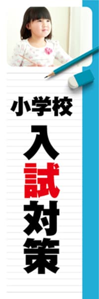 【EDU248】小学校入試対策【ノート・青】