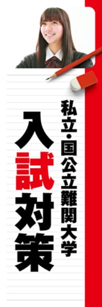 【EDU273】国立・国公立難関大学入試対策【ノート・赤】