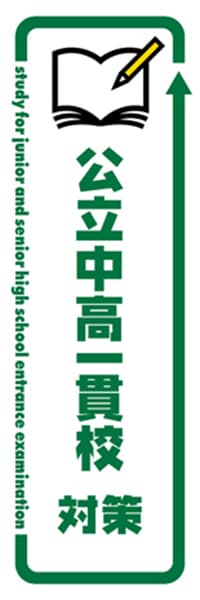 【EDU420】公立中高一貫校対策【矢印・白緑】