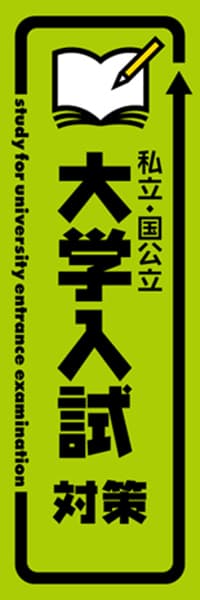 【EDU446】私立・国公立大学入試対策【矢印・黄緑黒】