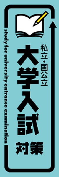 【EDU447】私立・国公立大学入試対策【矢印・青黒】