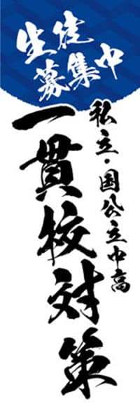 【EDU531】私立・国公立中高一貫校対策【筆文字・青】