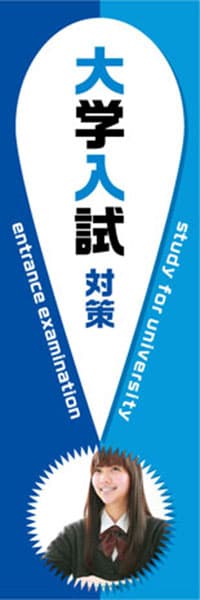 【EDU670】大学入試対策【！・青】