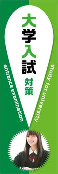 【EDU672】大学入試対策【！・緑】
