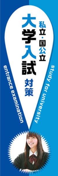 【EDU673】私立・国公立大学入試対策【！・青】