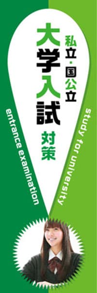 【EDU675】私立・国公立大学入試対策【！・緑】