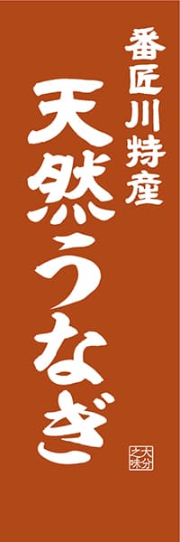 【EOT411】番匠川特産 天然うなぎ【大分編・レトロ調】