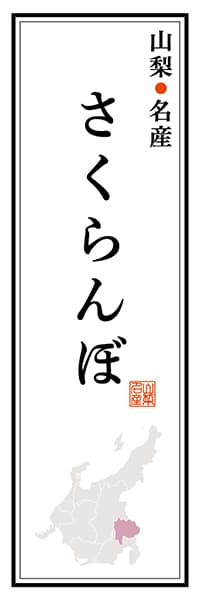 【EYN109】山梨名産 さくらんぼ【山梨編】