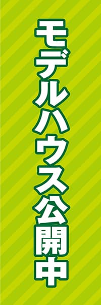 【FDS017】モデルハウス公開中