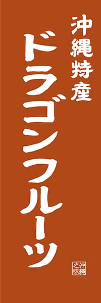 【HON419】沖縄特産 ドラゴンフルーツ【沖縄編・レトロ調】