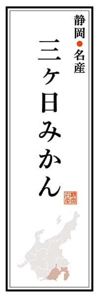 【HSZ116】静岡名産 三ヶ日みかん【静岡編】