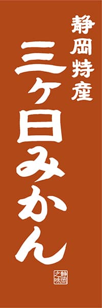 【HSZ416】静岡特産 三ヶ日みかん【静岡編・レトロ調】