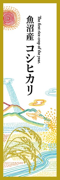 【KBS007】魚沼産 コシヒカリ
