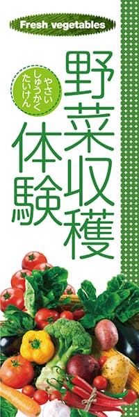 【KUD048】野菜収穫体験