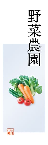 【KUD163】野菜農園【Photo・テンゼロ】