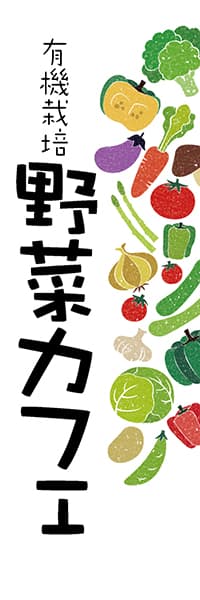 【PAC461】有機栽培　野菜カフェ