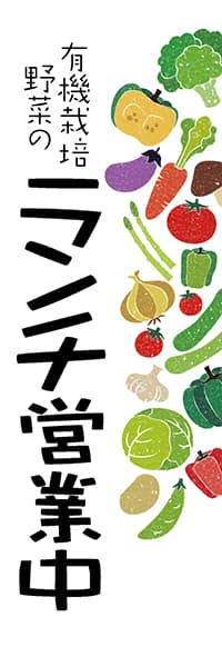 【PAC462】有機栽培野菜のランチ営業中
