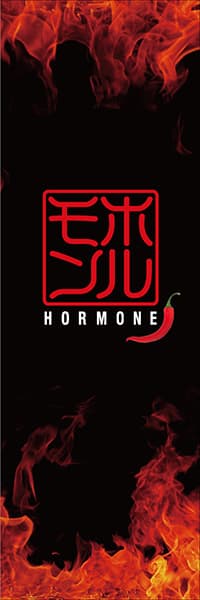 【YAK023】ホルモン【炎・落款】